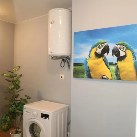 Appartement Luxury First Line With Pool And Sea View In Complex Oazis *