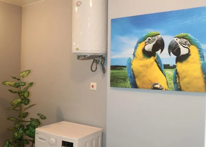 아파트 Luxury First Line With Pool And Sea View In Complex Oazis *